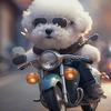 昊天犬业-精品繁育