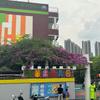 光明区凤凰青苹果