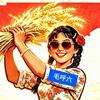 毛呼六
