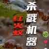 红火蚁那点事儿