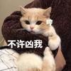 猫me书话