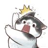 Q贝贝👑
