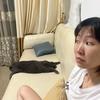 猫猫是刁民
