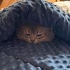 郭伟程💤