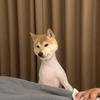 衿暮
