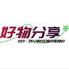 和平电竞