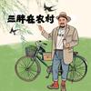 三胖在农村
