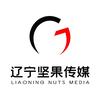 辽宁坚果文化传媒