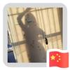 杨啊青青