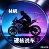 林枫丨硬核说车