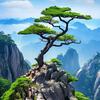 大红袍