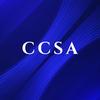 CCSA超高清显示产科创中心