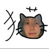 不是黑粉