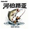 河伯路亚🎣