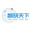 智玩天下