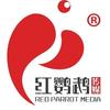 市中区红鹦鹉