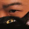 豹宝是只猫