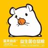 蓝天白云宠物
