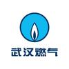 武汉燃气