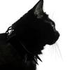 黑黑黑猫