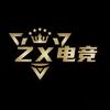 ZX电竞护航（免费护航）