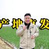 老家有块地