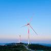 爱学习的CoCo