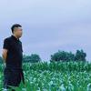 90后村支书超超