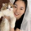 猫咪日常
