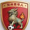 贺州青年人足球俱乐部