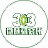 303鸡尾酒