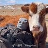 陆离