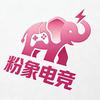 粉象电竞（无畏契约代/陪）