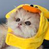 Panda不是熊猫