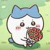 花生daisy