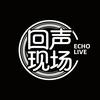 回声现场影像对比