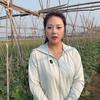 蓉蓉爱种菜