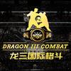 龙三格斗