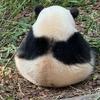 玛卡巴卡