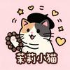 茉莉小猫