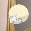 快乐小狗喜欢害羞小猫