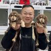 宏哥臻宠