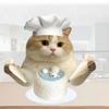 猫咪膳食社