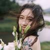 林黛丽LynsDaily