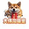 大伟淘萌宠