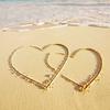 ꧁强哥꧂