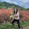 林里林居