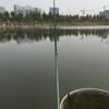 郑营社区