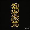动物观察局