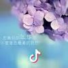 自贡豪爵售后小赖